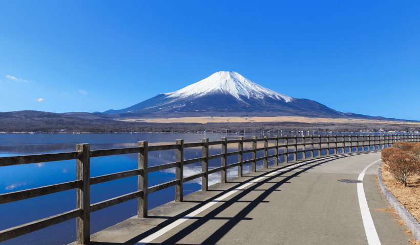 周辺の楽しみ方 サイクリング