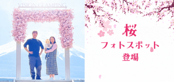 桜フォトスポット、ついに完成しました
