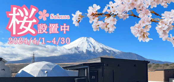 4月は全棟でお花見ができます